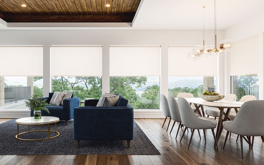 Elevate Your Living Space with Smart Shades